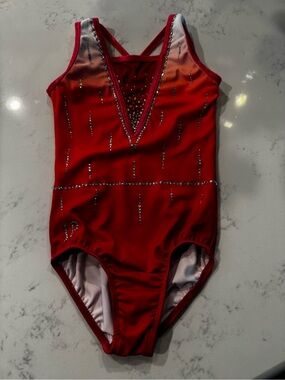 Beautiful girls leotard from Sylvia P child size 6